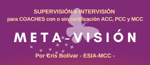 Metavision-Supervision-Mentoring