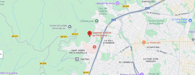 Localización Essential Institute